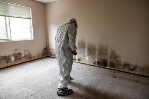 Best Mold Remediation for Healthcare Facilities  in Decatur, MS